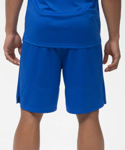 Шорты баскетбольные JOGEL PerformDry Division Star, синий