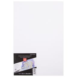 Холст грунтованный на подрамнике "Аква-колор" "Изостудия" IZO-CGP-2030 100% хлопок 20 х 30 см 260 г/кв.м мелкозернистый