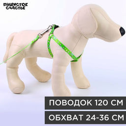 Комплект Авокадо, шлейка 24-36 см, поводок 120х1 см