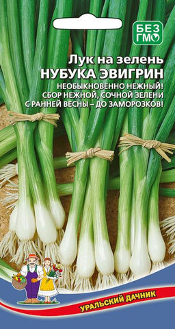 Лук на зелень НУБУКА ЭВИГРИН  Необыкновенно нежный! Сбор зелени с ранней весны до заморозков!