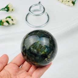 Шар из Лабрадора на подставке