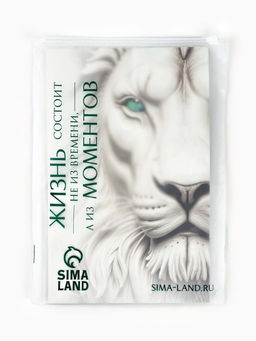 Пакет подарочный С Новым годом, с ёлочной игрушкой и шильдиком, Дед Мороз, 25.5?30?9 см