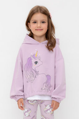 Crockid _ КР 302323/ледяная орхидея к539 джемпер (худи) для дев