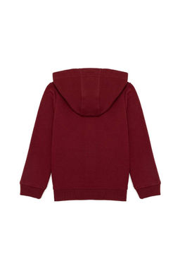 Толстовка с капюшоном для мальчиков Cherry Basic - U.s. polo assn фото 5