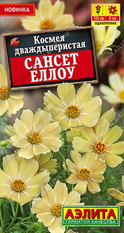 Космея Сансет еллоу (2029