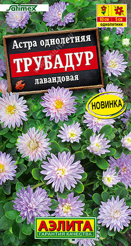 Астра Трубадур лавандовая