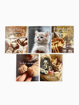 Набор мини-открыток в коробке со скрепками «Котики», 35 штук, 8 x 10 см
