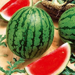 6252U Арбуз Эдем F1 5шт