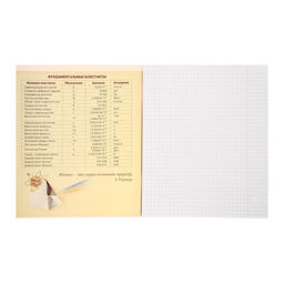 Тетрадь предметная Супернеон, 48 листов в клетку Физика, со справочным материалом, обложка мелованный картон, блок офсет - Calligrata фото 2