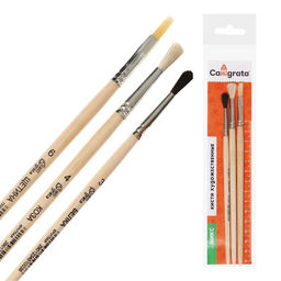 Набор кистей для рисования, белка, коза, щетина, 3 штуки: № 3, № 4 (круглые), № 6 (плоская), Calligrata, круглые, плоская, деревянная ручка, в пакете