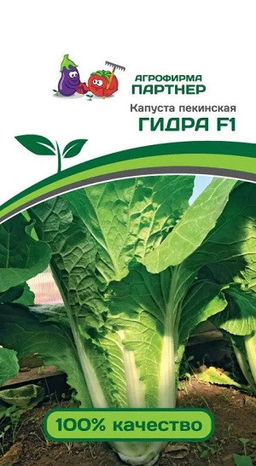 3046P Капуста Пекинская ГИДРА F1 0,5гр