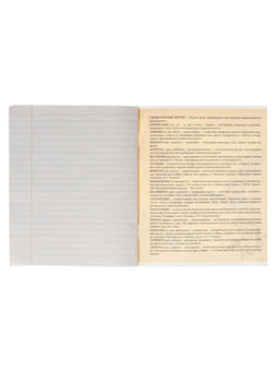 Тетрадь предметная Металл, 48 листов в линейку Литература со справочным материалом, обложка мелованный картон, блок №2, белизна 75% (серые листы) - Calligrata фото 8