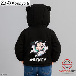 Куртка для мальчика с рисунком