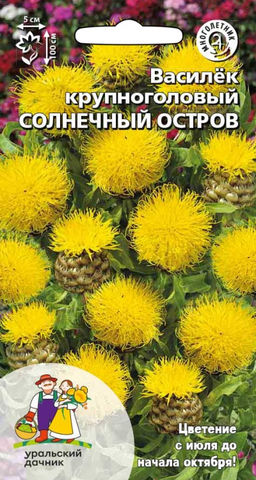 Василёк СОЛНЕЧНЫЙ ОСТРОВ