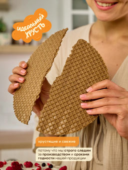 Коржи (ТТ047.10) КРУГ для торта без начинки вес 120 г (Торреро)