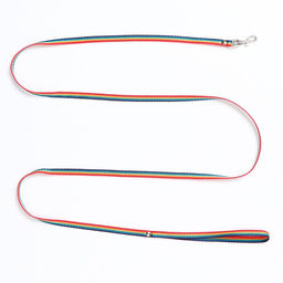 Поводок капроновый Радуга, 1,6 м х 1 см - Пижон фото 3