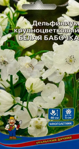 Дельфиниум БЕЛАЯ БАБОЧКА