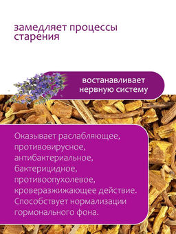 Шлемник байкальский - Травы горного крыма фото 7