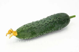 Огурец партенокарпический Гуннар - Партнер фото 5