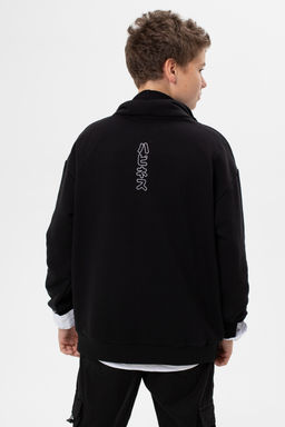 Толстовка с начесом с воротником ТФнач