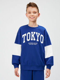 ACOOLA / Джемпер детский для мальчиков Gabon_sw холодный синий