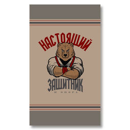 Полотенце кух. Доляна Настоящий защитник 35х60 см, рогожка, 100% хл, 160г/м2