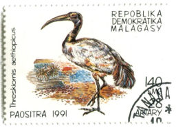 Марка Священный ибис 1991 год Мадагаскар