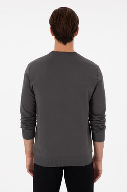 Мужской свитшот антрацитового цвета Неожиданная скидка в корзине - U.s. polo assn фото 5