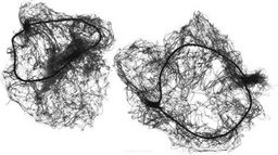 Dewal Сеточка-паутинка для создания причёсок большая СЕ100, черный, 2 шт.  фото 2