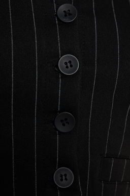 Siyah Regular Dugme Detayl? Cizgili Crop Yelek TWOSS23YE00037