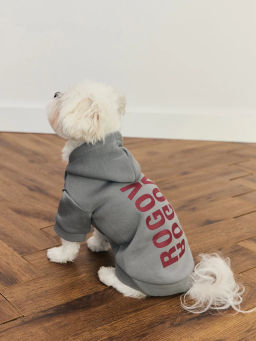 джемпер (попона) для животных / Zarina