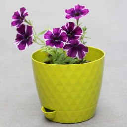 Цена за 3 шт. Горшок для цветов пластиковый 1л d-13,5см "Румба" киви