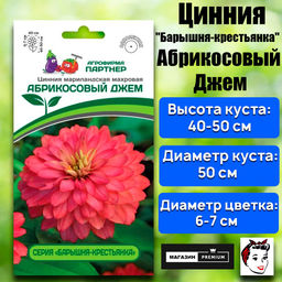 3376P Цинния АБРИКОСОВЫЙ ДЖЕМ / мариландская махровая 5шт