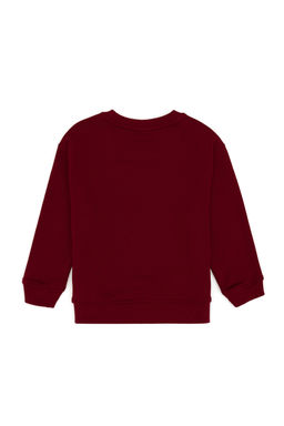 Erkek _ocuk Bordo Bisiklet Yaka Sweatshirt Sepette S_rpriz _ndirim - U.s. polo assn фото 7