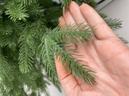 Ель литая плоские веточки 210 см - Ип лебедев о.ю фото 4