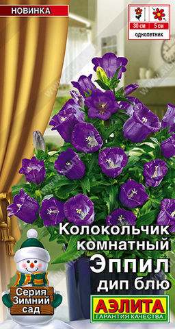 Колокольчик комнатный Эппил дип блю (2028