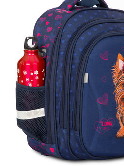 Рюкзак школьный SK2-31 - Steiner фото 20