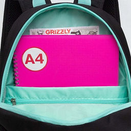 RG-463-1 Рюкзак школьный с обвесом - Grizzly фото 16