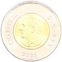 2 доллара 2025 года Канада Чествование неизвестного солдата Канады (Цветное покрытие)