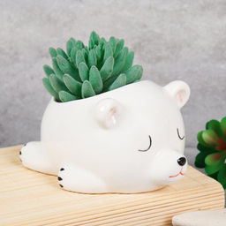 Кашпо 11,5х13,5х8 см Спящий мишка / WN37 /уп 48/ цветное - Галеонтрейд фото 7