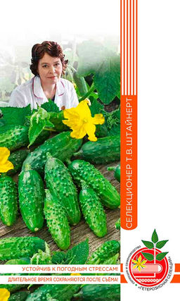 Огурец КОМАРИК F1 коллекция Татьяны Штайнерт Авторская селекция