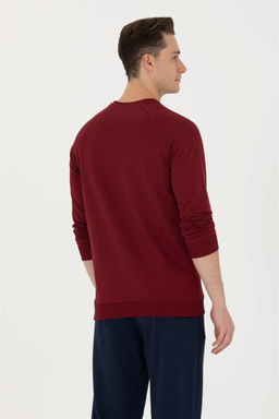 U. S. Polo Assn / Мужской бордово-красный базовый свитшот - U.s. polo assn фото 5