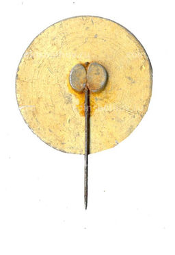 Значок Мингачевир