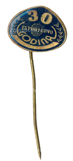 Значок EXPORT DRVO  30 лет