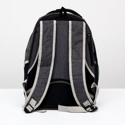 Рюкзак для переноски животных прозрачный, 31 х 28 х 42 см, голубой - Пижон фото 3