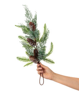 Blumentag VDD-99 Веточка декоративная заснеженная с шишками 6 х 1 шт. 54 см 01  фото 3