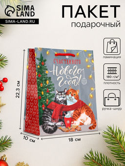Цена за 2 шт. Пакет подарочный новогодний ламинированный «Счастливого нового года», 18×10×22.3 см