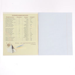 Тетрадь предметная Пиксели 36 листов в клектку Физика, со справочным материалом, обложка мелованный картон, блок офсет - Calligrata фото 2