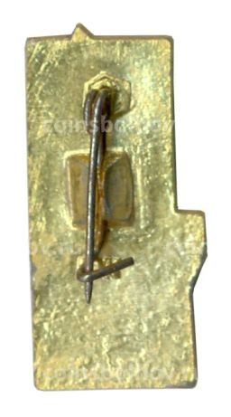 Значок Троицкая башня