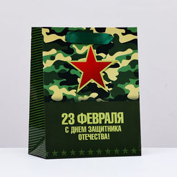 Цена за 2 шт. Пакет подарочный ламинированный вертикальный «23 февраля», 18×23×10 см